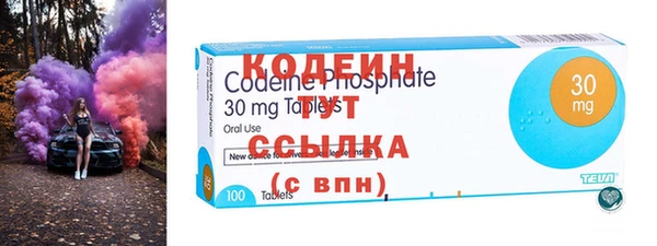 хмурый Алексин