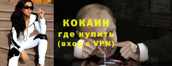 хмурый Алексин