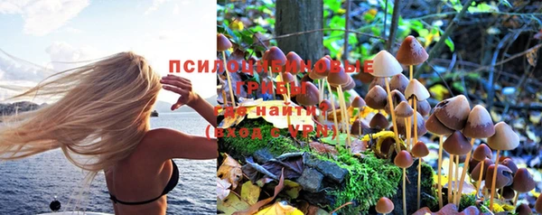 стаф Алексеевка