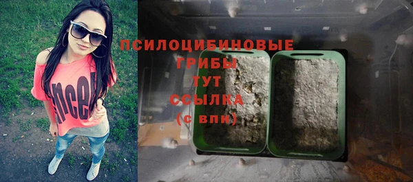 хмурый Алексин