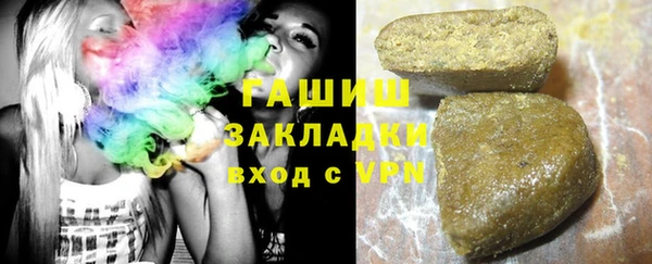 хмурый Алексин